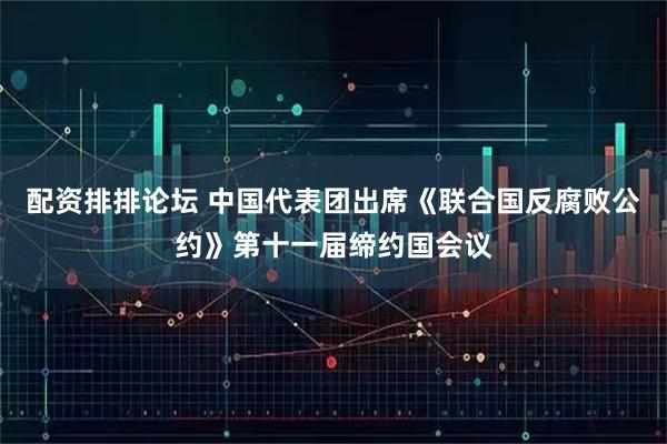 配资排排论坛 中国代表团出席《联合国反腐败公约》第十一届缔约国会议